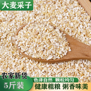 苏北盐城大麦采子特产粗粮五谷杂粮大麦糁5斤煮粥细颗粒非真空