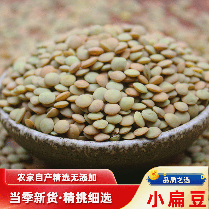 绿小扁豆打豆浆发豆芽炖菜豆浆