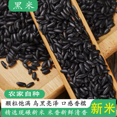 黑米新米长粒米健康主食