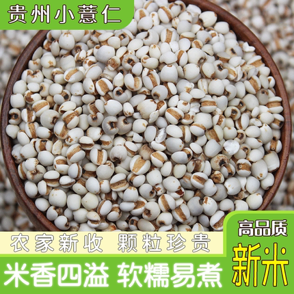 小薏米仁5斤新货农家薏米 红豆薏米粥 小薏米苡米仁 五谷杂粮
