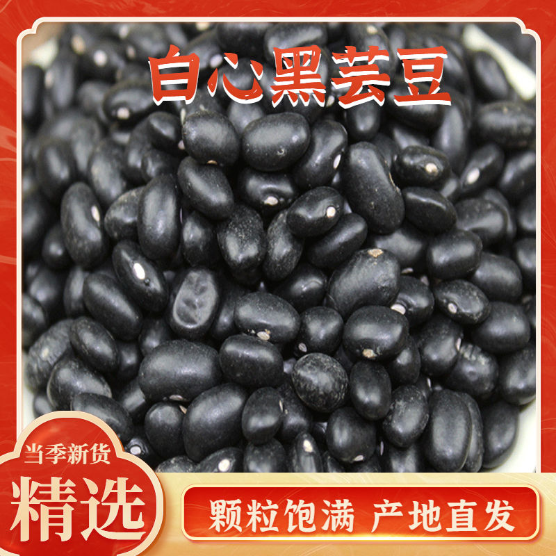 黑芸豆产地直发颗粒饱满