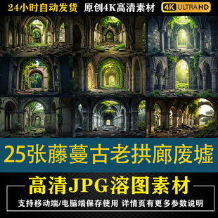 495.25张藤蔓萦绕古老拱廊废墟cos特效合成影楼后期修图背景素材