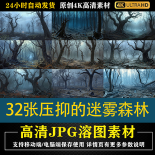 276.32张压抑 迷雾森林cos特效合成影楼后期修图背景素材PS底图