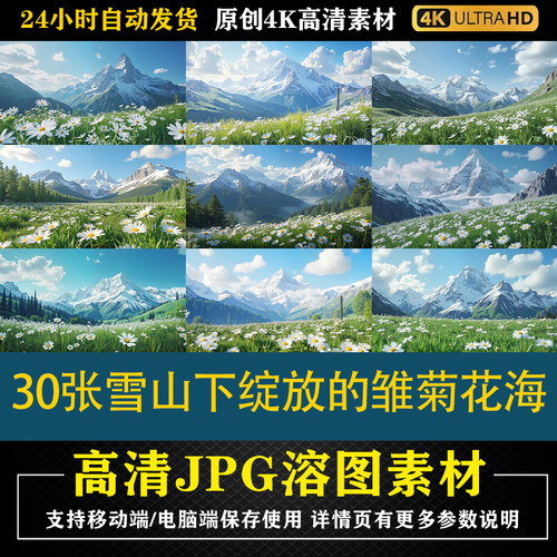 274.30张雪山下绽放的雏菊花海cos特效合成后期修图背景素材底图