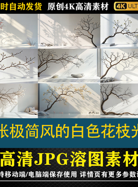 168.30张极简风的白色花枝光影cos合成影楼后期修图背景素材底图