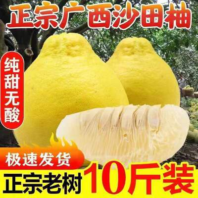 广西正宗容县沙田柚子容县沙田柚