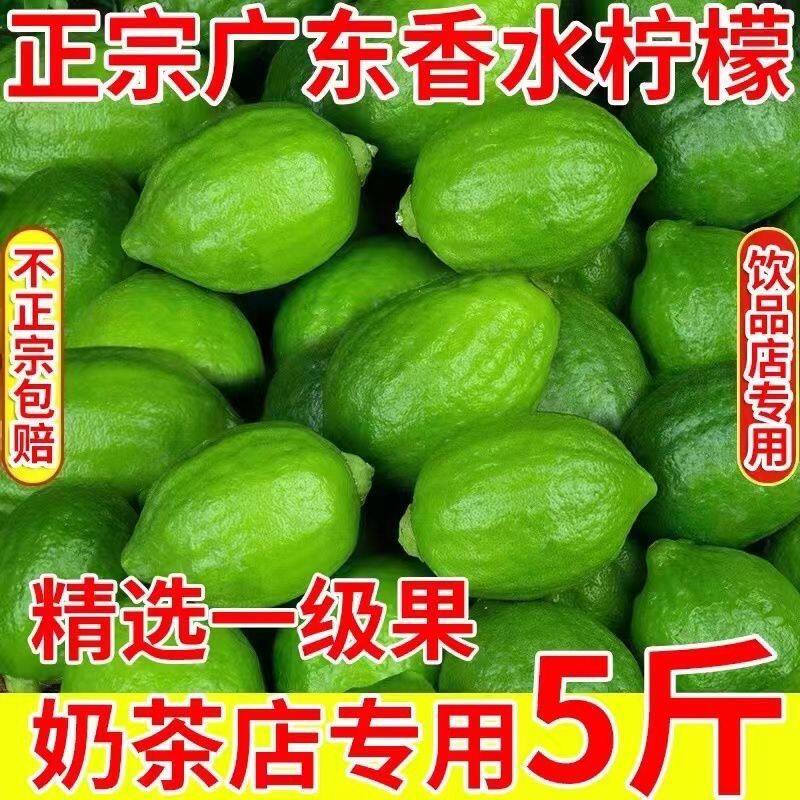 精选广东香水柠檬一级果无籽香水柠檬咖啡奶茶店专用