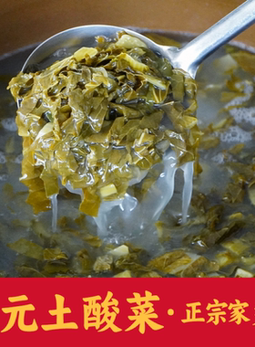四川广元土酸菜煮豆花稀饭浆水菜朝天苍溪剑阁阆中南充农家特产