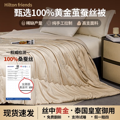 Hilton friendsA类全棉贡缎提花蚕丝被超柔春秋被加厚保暖冬被A3