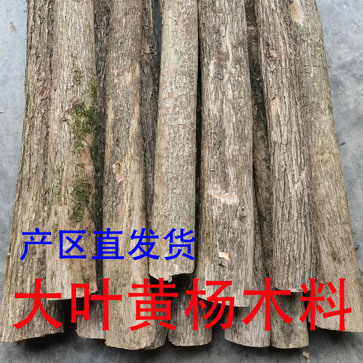 雕刻料木雕大叶黄杨木料