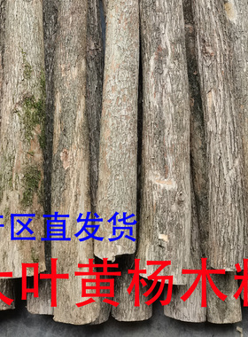 大叶黄杨木料雕刻料手把件摆件工艺文玩原木木头原料木雕木梳雕刻