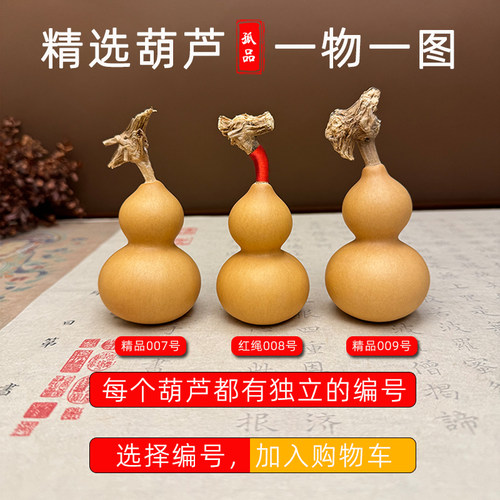 【一物一拍】天然葫芦精选素葫芦