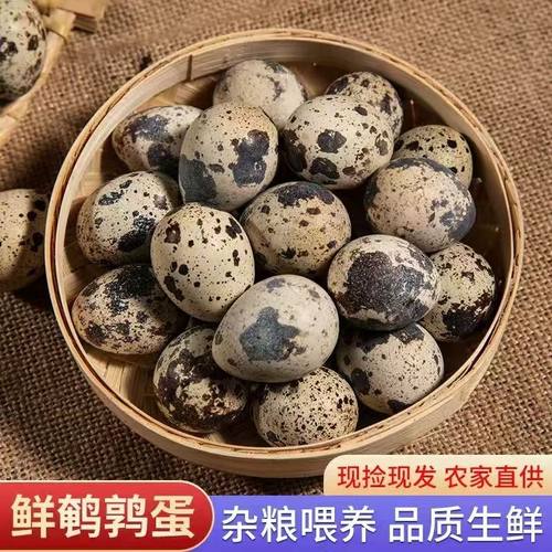 新鲜鹌鹑蛋散养杂粮孕妇批发