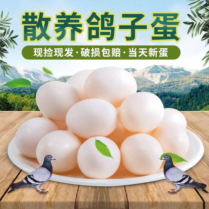 新鲜鸽子蛋散养杂粮孕妇批发喂养宝宝辅食营养农家带壳商用受精蛋