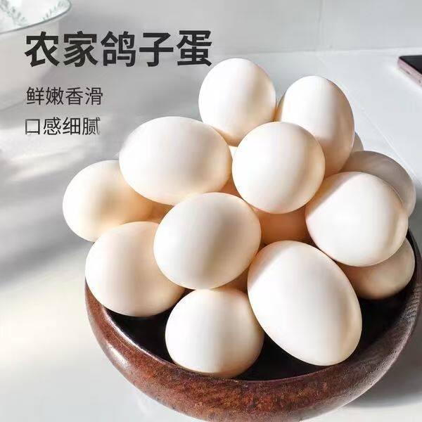 农家散养现捡现发信鸽蛋新鲜滋补