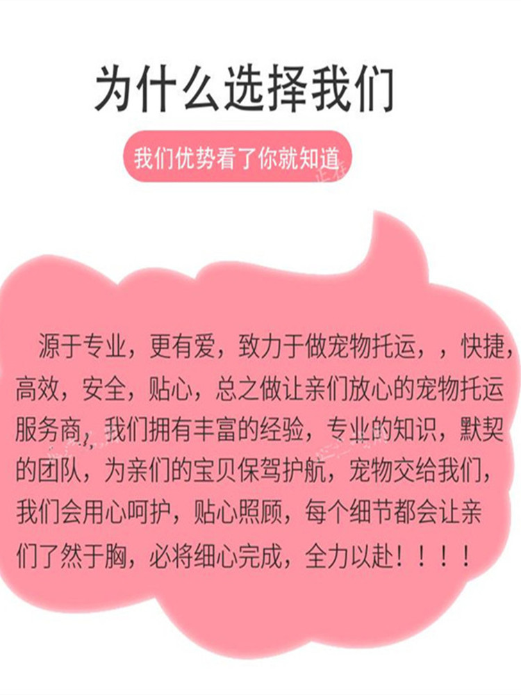 成都宠物托运服务全国邮寄猫咪快递运输猫空运狗航空空运北京广州