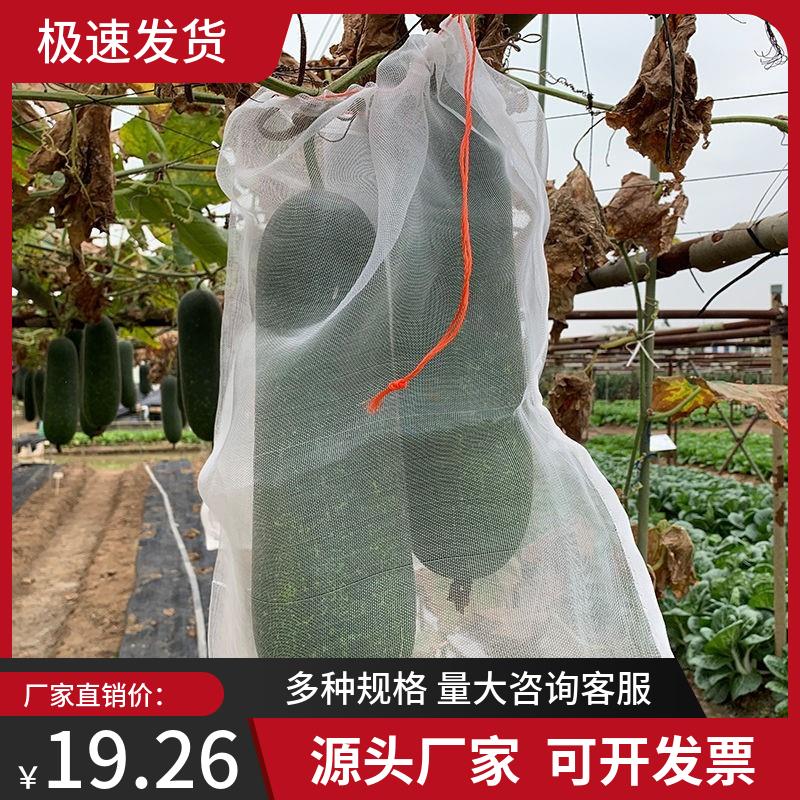 瓜类防虫袋水果编织袋通风冬瓜套袋细眼袋套专用火龙果芒果苦瓜