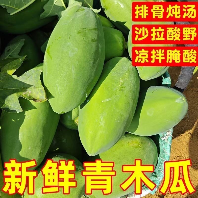 【哺乳下奶神器】广西原产青木瓜
