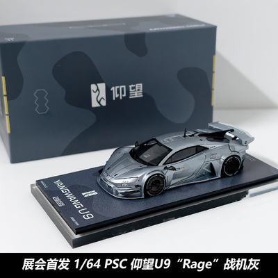 TimeMicro1/64仰望U9合金车模