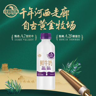 庄园牧场A2β鲜牛奶950ml优质蛋白巴氏鲜奶营养早餐优选 新品