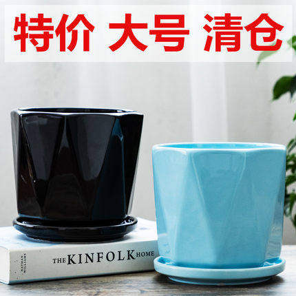 带托盘陶瓷创意特大号特多肉