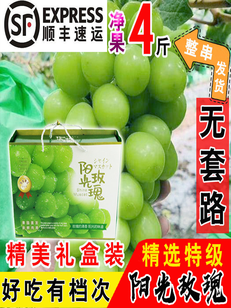 阳光玫瑰晴王葡萄礼盒装香印青提香甜脆孕妇新鲜水果礼品装一整箱