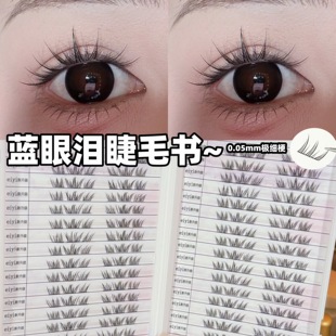 EIYI免胶夏日蓝眼泪睫毛书假睫毛女自然仿真巨清透2025新款 眼睫毛
