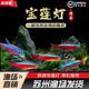宝莲灯鱼红莲小型灯科草缸巴西宠物热带观赏鱼活体群游宝莲灯灯鱼