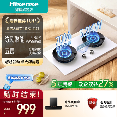 海信5.2KW双灶定时白色燃气灶