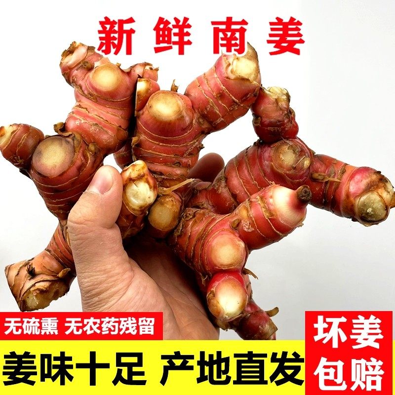 潮汕南姜新鲜包邮山姜头 精选野生山姜牛羊肉火锅去膻配料调味品,水产肉类/新鲜蔬果/熟食,生姜/南姜,淘宝优惠券,粉丝福利购,淘宝优惠卷