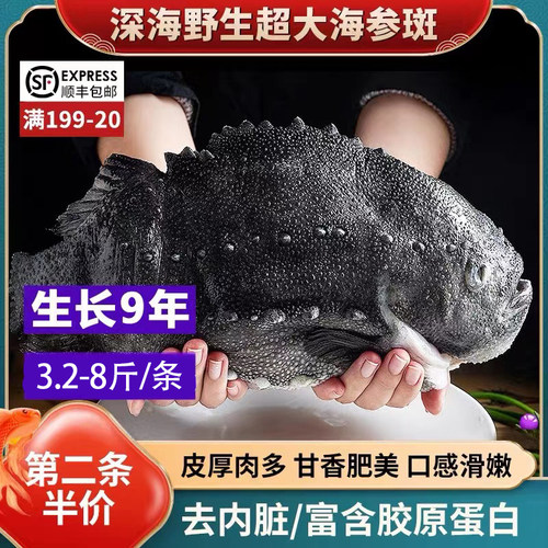 冰岛进口冷冻海鲜北极野生新鲜