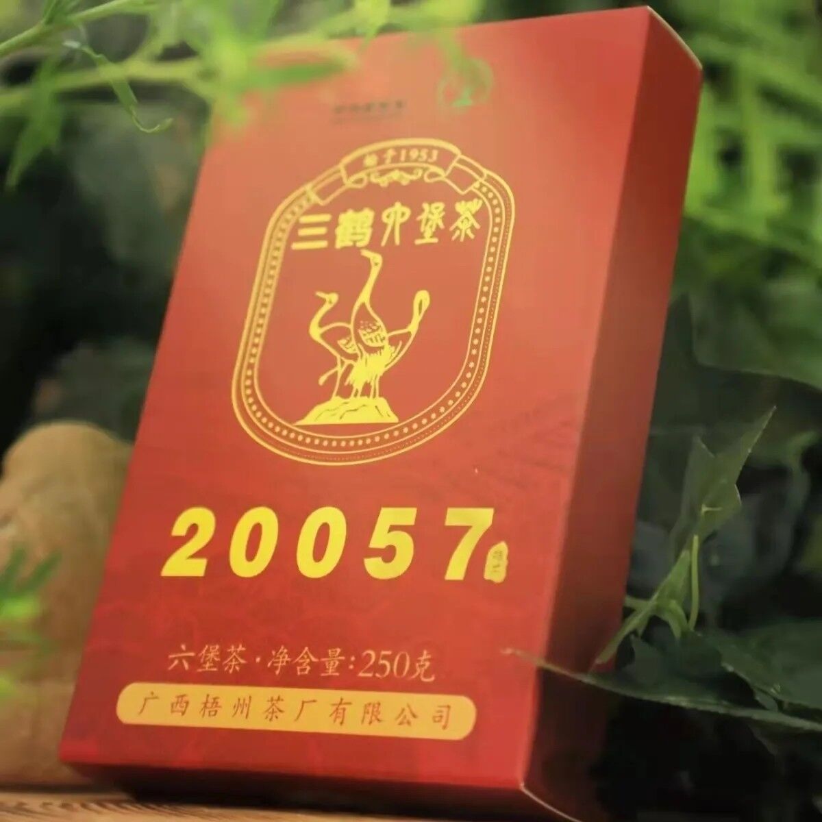 三鹤20057六堡茶特产盒装梧州