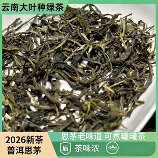 思茅老味道大叶种绿茶原产地发货云南明前罐罐茶烘青浓香茶味足香