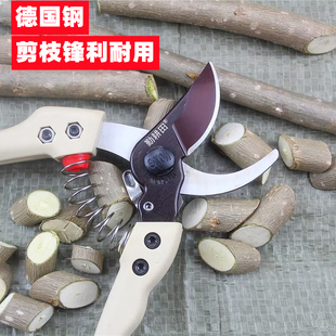 130S园艺剪枝剪刀花枝剪家用剪树枝剪德国进口钢园林果树修枝剪子