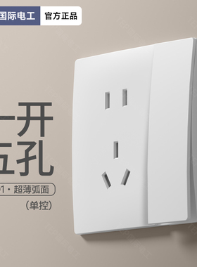 TEP国际电工超薄弧面磨砂奶油白5五孔带一开单控开关控制插座断电