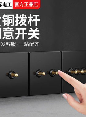 TEP国际电工86型黑色黄铜拨杆双控开关面板家用墙壁一2开双联回路
