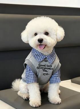 小狗衣服假两件拼色Polo衫宠物秋冬雪纳瑞比熊泰迪中小型犬两脚衣