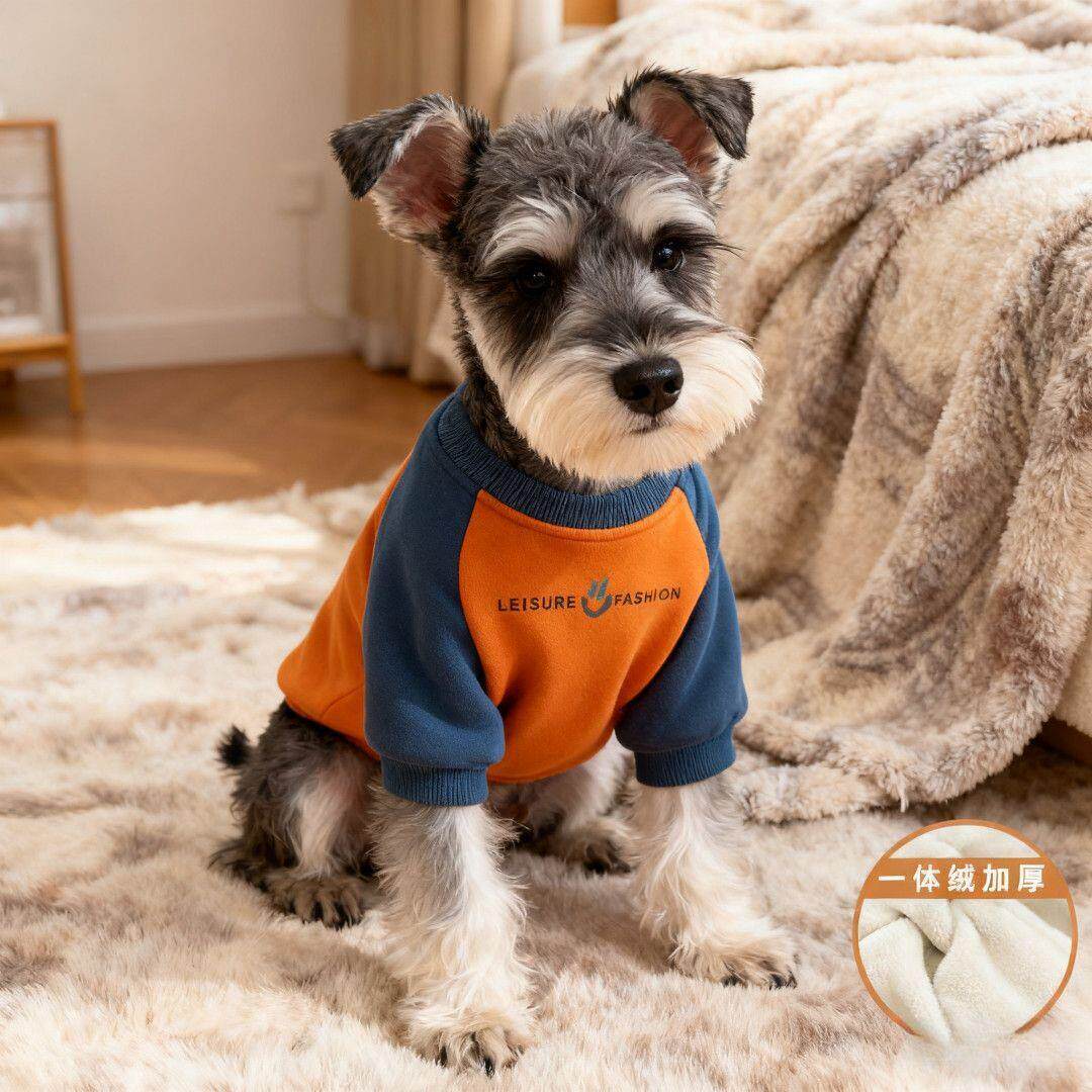 狗狗衣服中小型犬秋冬撞色卫衣泰迪雪纳瑞衣服宠物加绒加厚两脚衣