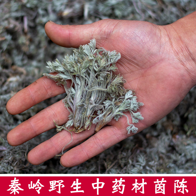 秦岭野生中药材茵陈白蒿正品三月新鲜干货250g500g阴沉绵茵陈泡茶