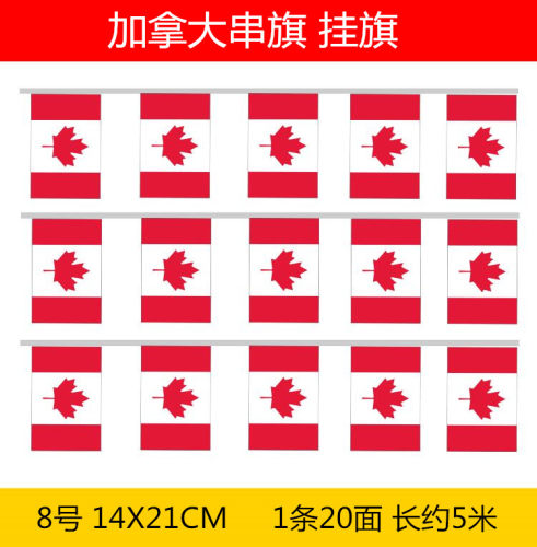加拿大国旗挂旗手摇旗 加拿大串旗 加拿大旗装饰旗5米20面14*21CM