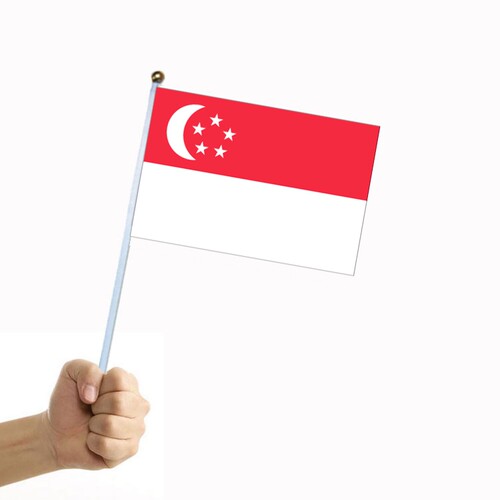 8号新加坡国旗14*21cm旗帜