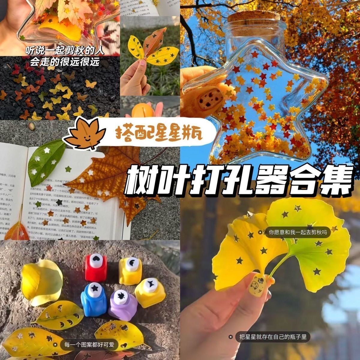 捡一个秋天树叶压花器省力打孔器