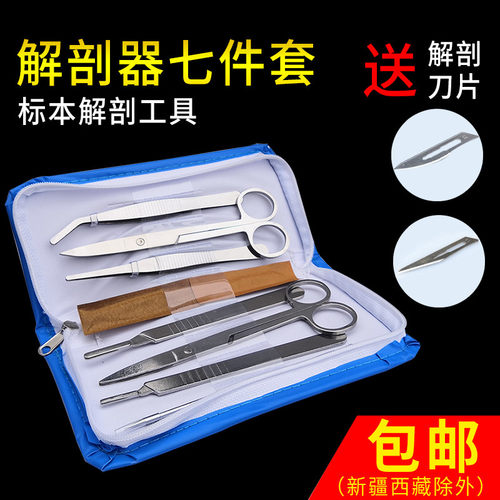 生物解剖器7件七件套4件四件套