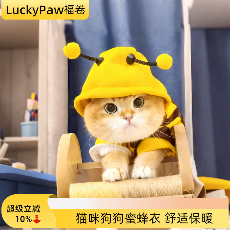 猫咪衣服秋冬防掉毛宠物牵引德文暹罗布偶小猫狗狗服装冬季保暖款,宠物/宠物食品及用品,猫宠物服装/雨衣（新）,淘宝优惠券,粉丝福利购,淘宝优惠卷