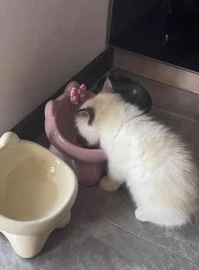 LuckyPaw福卷陶瓷猫碗斜口猫碗