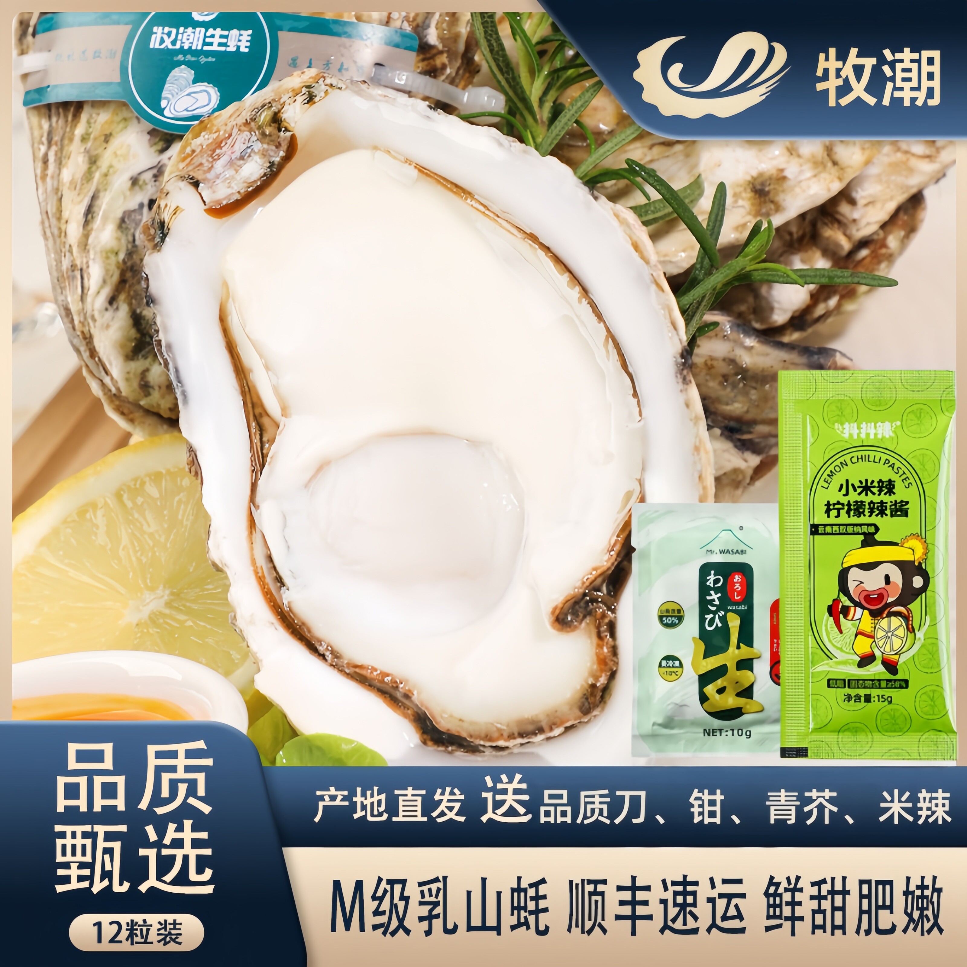 正宗山东乳山生蚝刺身级带壳鲜活牡蛎新鲜水产包活特大海蛎子12只