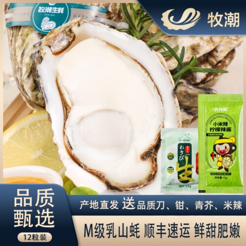 牧潮乳山生蚝鲜甜刺身一箱12只