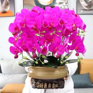 仿真花特大号手感PU蝴蝶兰花家居客厅装饰花电视柜玄关办公室假花