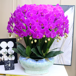 仿真花特大号保湿手感蝴蝶兰客厅装饰花电视柜玄关假花酒店大堂花