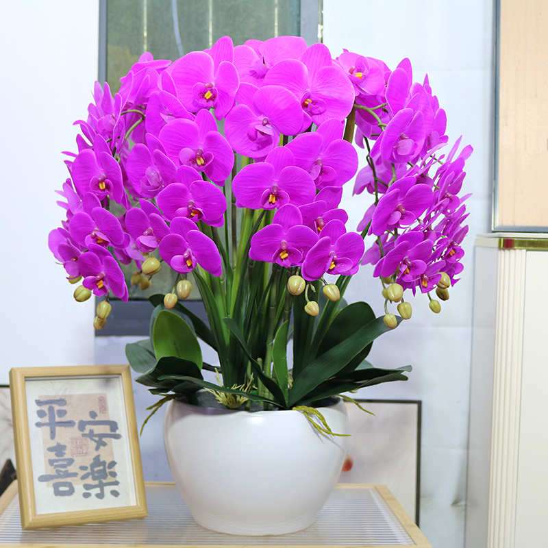 特大号保湿仿真蝴蝶兰家居客厅装饰花电视柜玄关假花公司前台摆设